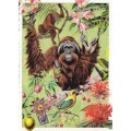Orang Utan - Tausendschön - Postkarte