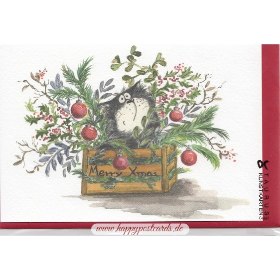 Merry Xmas - Cat in box - Christmas card