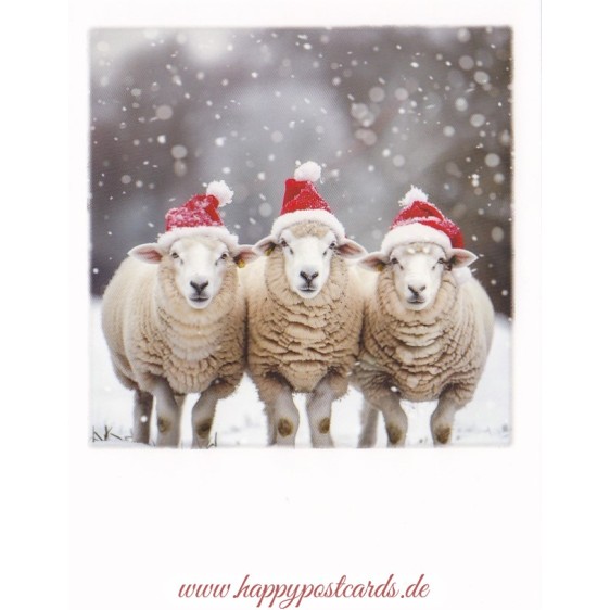 Christmas Sheeps - Christmas PolaCard