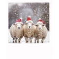 Weihnachtsschafe - Weihnachtskarte - PolaCard
