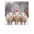 Christmas Sheeps - Christmas PolaCard