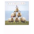 Wir gratulieren! Pyramide aus Schafen - PolaCard