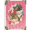 Katzen mit Weihnachtsdeko - Tausendschön - Weihnachtskarte
