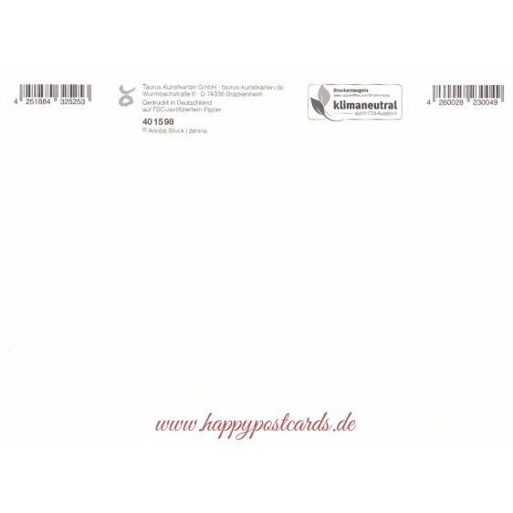 Zum Geburtstag - Elefant - Postkarte