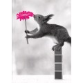 Eichhörnchen mit Blume - Kontraste - Postkarte