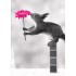 Squirrel with flower - Contrasts -  Postcard
