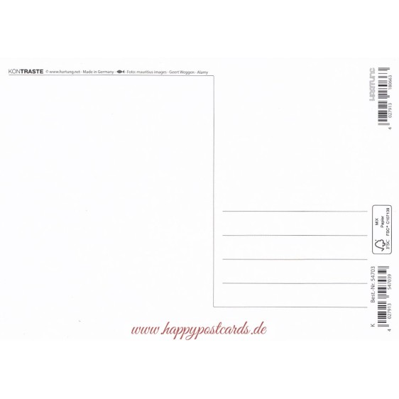 Eichhörnchen mit Blume - Kontraste - Postkarte