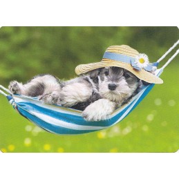 Hund in Hängematte - Medley-Postkarte