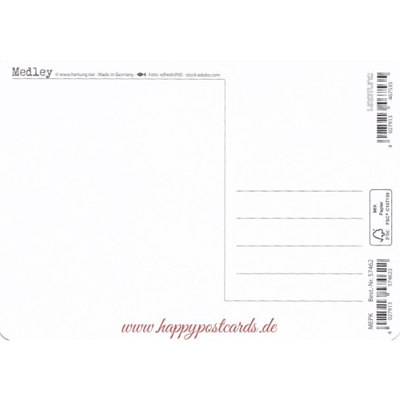 Seagull at the sea - Medley postcard