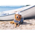 Dog at the boat - Medley postcard