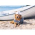 Hund am Boot - Medley-Postkarte