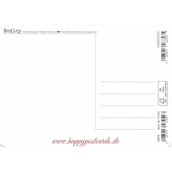 Hund am Boot - Medley-Postkarte
