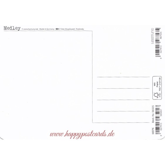 Deer - Medley postcard