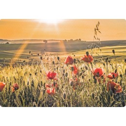 Mohn - Medley-Postkarte