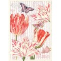 Tulips - Tausendschön - Postcard