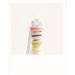 More about Bunny macaroon - PolaCard