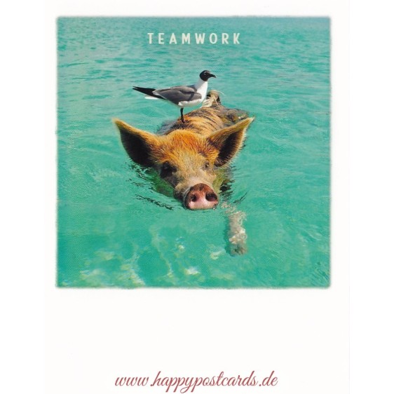 Teamwork - PolaCard