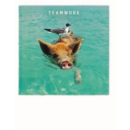 Teamwork - PolaCard