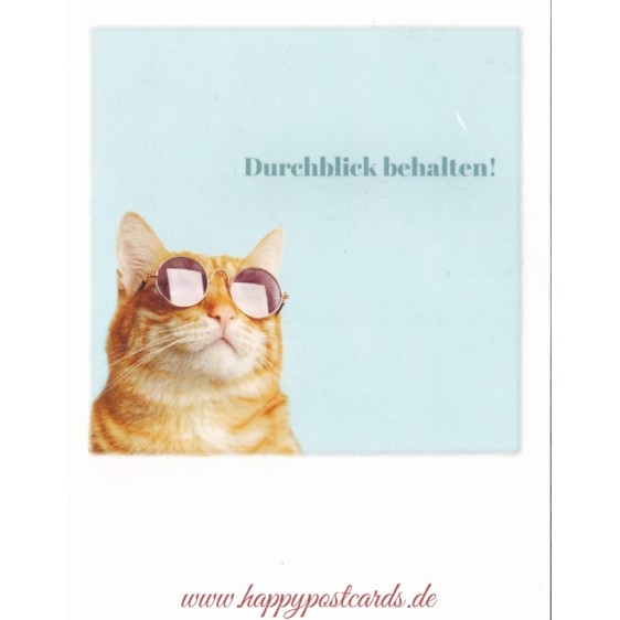 Durchblick behalten! - Katze - PolaCard
