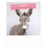 Sorry manchmal bin ich so ein Esel. - PolaCard