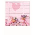 Bicycles in love - PolaCard