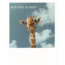 Hoch sollst Du leben! - Giraffe - PolaCard