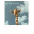Hoch sollst Du leben! - Giraffe - PolaCard