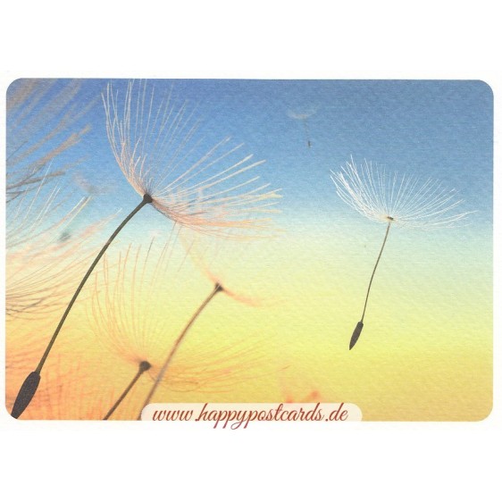 Pusteblume - Postkarte