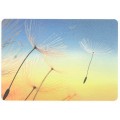 Pusteblume - Postkarte