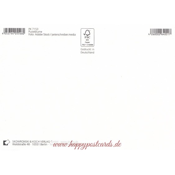 Pusteblume - Postkarte
