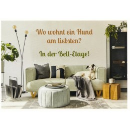 More about Hunde in der Bell-Etage -  Postcard