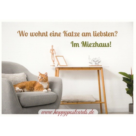 Katzen im Miezhaus -  Postcard