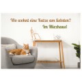 Katzen im Miezhaus -  Postcard
