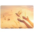 Freedom - Postcard