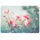 Anemones in summer - Postcard