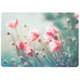 Anemones in summer - Postcard