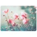 Anemonen im Sommer - Postkarte