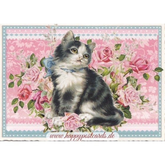 Cat - Tausendschön - Postcard