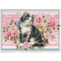 Katze - Tausendschön - Postkarte