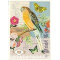 Bird - Tausendschön - Postcard