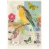 Bird - Tausendschön - Postcard