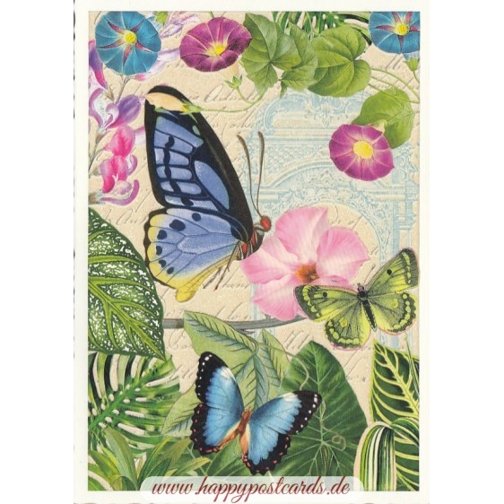 Butterflies - Tausendschön - Postcard