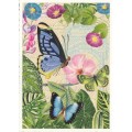 Butterflies - Tausendschön - Postcard