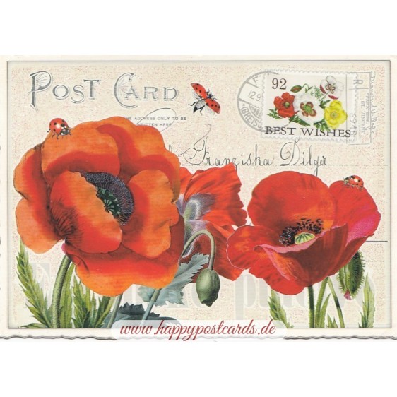 Mohn - Tausendschön - Postkarte