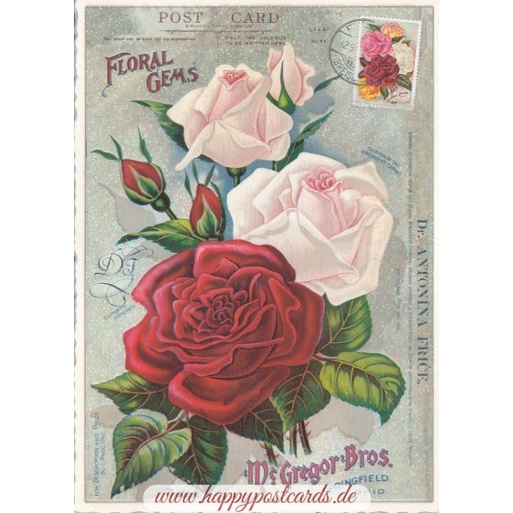 Rosen - Tausendschön - Postkarte
