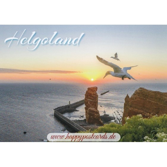 Helgoland - Seagull - Viewcard