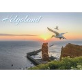 Helgoland - Seagull - Viewcard