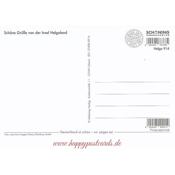 Helgoland - Möwe - Ansichtskarte