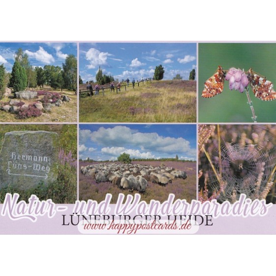 Lüneburh Heath - Viewcard