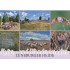 Lüneburger Heide - Ansichtskarte